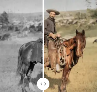My Heritage Colorizer